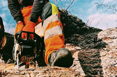 Chainsaw: An efficient tool for felling trees and gardening